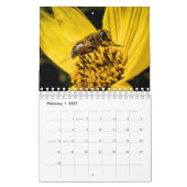 Kalender-Honig-und Hummel-Bienen Kalender (Feb 2027)