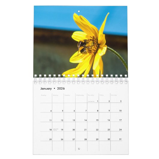 Kalender-Honig-und Hummel-Bienen Kalender (Jan 2026)