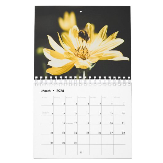 Kalender-Honig-und Hummel-Bienen Kalender (Mär 2026)