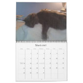 Kalender HoofsnHorns Bauernhof-2009 (Mär 2027)