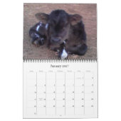 Kalender HoofsnHorns Bauernhof-2009 (Jan 2027)