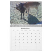 Kalender HoofsnHorns Bauernhof-2009 (Feb 2027)