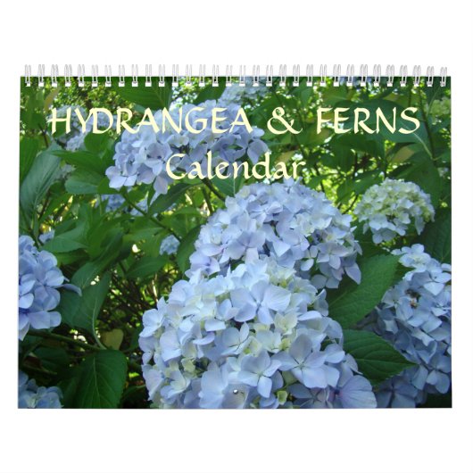 KALENDER HORNTRAUBEN & FARNEN Kalender Geschenke (Titelbild)