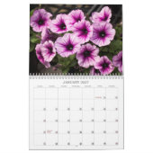 Kalender - Hübsche Petunias (Jan 2027)