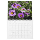 Kalender - Hübsche Petunias #2 (Jan 2027)