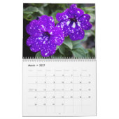 Kalender - Hübsche Petunias #4 (Mär 2027)