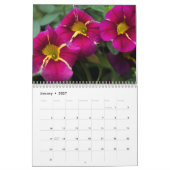 Kalender - Hübsche Petunias #4 (Jan 2027)