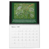 Kalender - Hübsches Gift (Feb 2027)