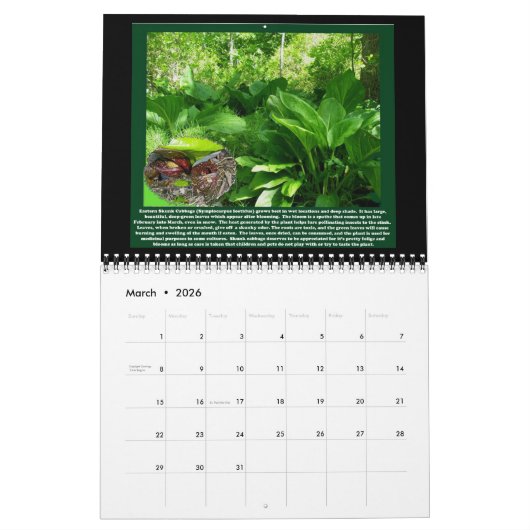 Kalender - Hübsches Gift (Mär 2026)