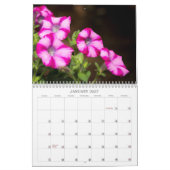Kalender - Hübsches Petunias (Jan 2027)