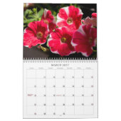 Kalender - Hübsches Petunias (Mär 2027)