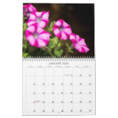Kalender - Hübsches Petunias (Jan 2026)