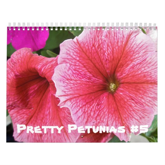Kalender - Hübsches Petunias #5 (Titelbild)
