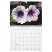 Kalender - Hübsches Petunias #5 (Jan 2026)