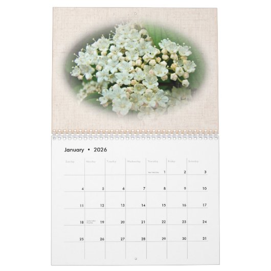 Kalender - Hydrangeas (Jan 2026)
