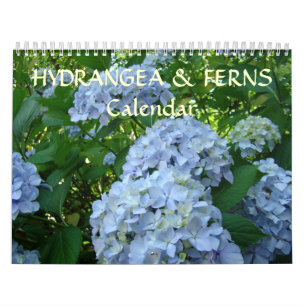 KALENDER-HYDRANGEAS u. FARNE Kalender-Geschenke Kalender