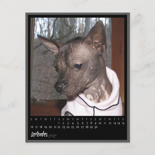 Kalender im September 2012 (Vorderseite)