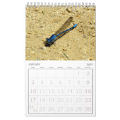 Kalender - Insects vol.2 (Jan 2027)