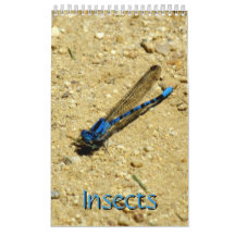 Kalender - Insects vol.2