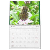 Kalender - Insekten (Mär 2027)