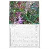 Kalender - Insekten (Jan 2027)