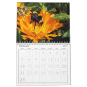 Kalender - Insekten (Feb 2027)