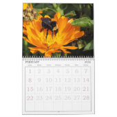 Kalender - Insekten (Feb 2026)