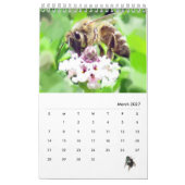 Kalender - Insekten mit Fliegen (Mär 2027)