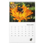 Kalender - Insekten mit Fliegen (Feb 2026)