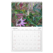 Kalender - Insekten (sgl. g.) (Jan 2027)