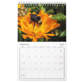 Kalender - Insekten (sgl. g.) (Feb 2027)