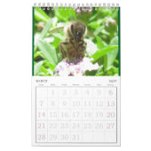 Kalender - Insekten (sgl. g.) (Mär 2027)