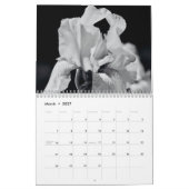 Kalender Iren aus dem Garten (Mär 2027)
