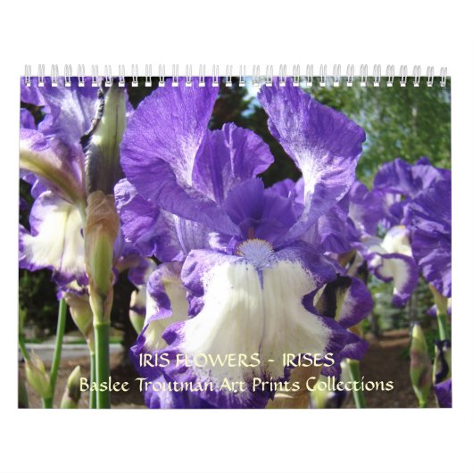 KALENDER Irises Kalender-Iris-Blumen (Titelbild)