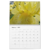 KALENDER Irises Kalender-Iris-Blumen (Feb 2027)