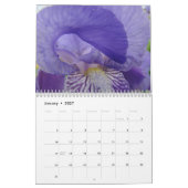 KALENDER Irises Kalender-lila Iris-Blumen (Jan 2027)
