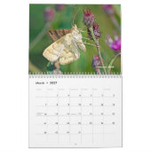 Kalender - Juwelen der Luft (Mär 2027)