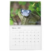 Kalender - Juwelen der Luft (Feb 2027)