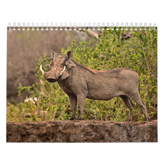 Kalender Kalender (Titelbild)