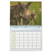 Kalender Kalender (Feb 2026)