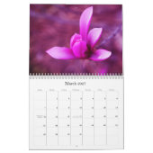 Kalender Kate.net 2010 (Mär 2027)