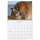 Kalender-Katze 2012 Kalender (Mär 2027)