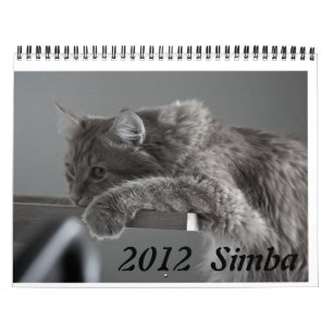 Kalender-Katze 2012 Kalender