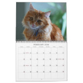 Kalender-Katze 2012 Kalender (Feb 2026)
