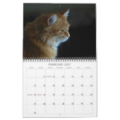 Kalender-Katze 2012 Kalender (Feb 2027)