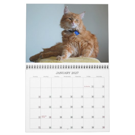 Kalender-Katze 2012 Kalender (Jan 2027)