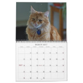 Kalender-Katze 2012 Kalender (Mär 2027)