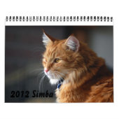 Kalender-Katze 2012 Kalender (Titelbild)