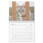 Kalender - Katzen (Jan 2027)