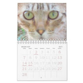 Kalender - Katzen (Feb 2027)